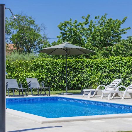Holiday Home Villa Zirdum By Interhome Nova Vas  外观 照片